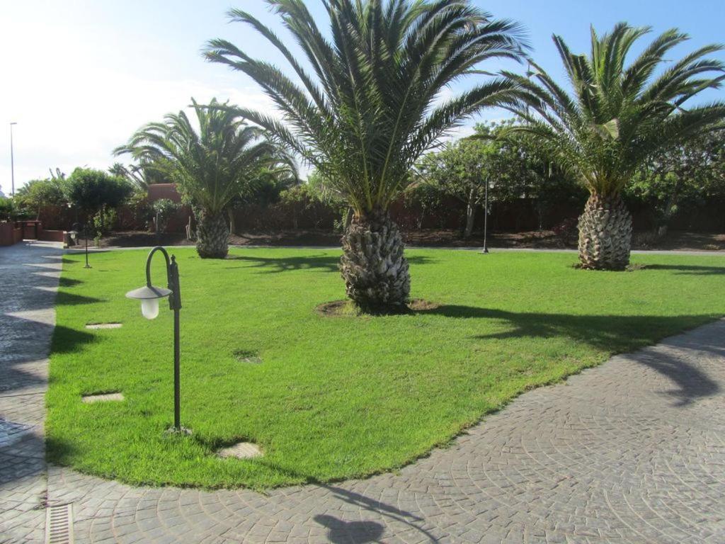 Villa Moleiro- La Tejita Dış mekan fotoğraf